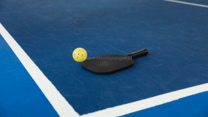 Jasa Pembuatan Lapangan Pickleball Yogyakarta